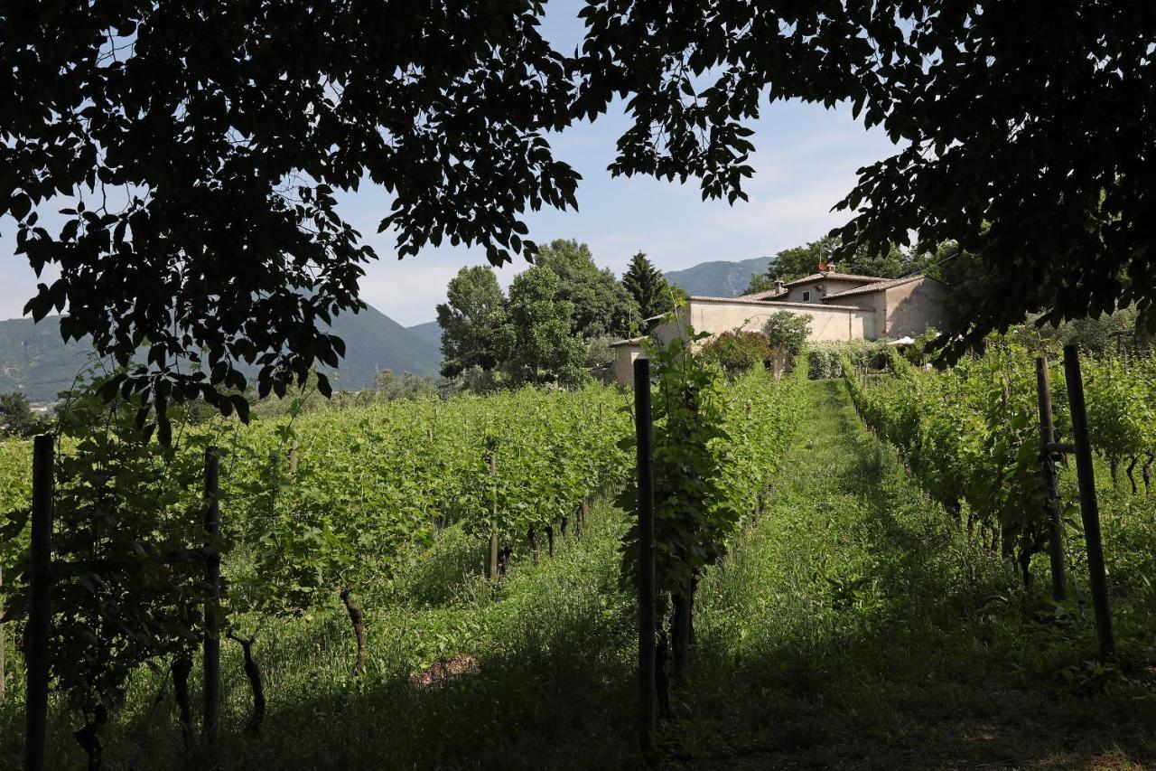 Serene Holiday And Wine Farm Affi Exterior photo